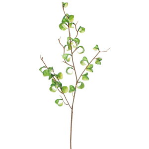 yԁzYDM/tBJXV^VIu`S zCgO[/FG-5197-W/Gy01z ԁiA[eBtBVt[j ԗtAtFCNO[ ̑̑ԗtEtFCNO[