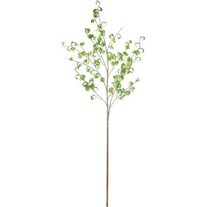 yԁzYDM/tBJXV^VIu`L zCgO[/FG-5199-W/Gy01z ԁiA[eBtBVt[j ԗtAtFCNO[ ̑̑ԗtEtFCNO[