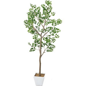 �y�����z�y�l�H�ϗt�A���zYDM/�g�l���R�c���[ �O���[��/GLA-1545-GR ���ԕi�E����E�L�����Z���s�y01�z ���ԁi�A�[�e�B�t�B�V�����t�����[�j ���ԗt�� ���ԁE�l�H�ϗt�A�� �����`150cm