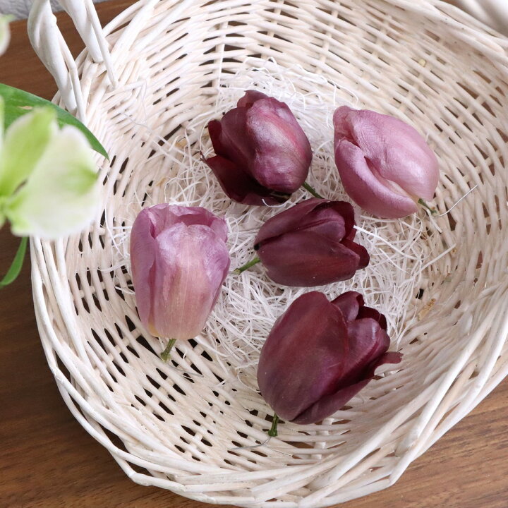 楽天市場 ドライ ドライフラワー エモフラ チューリップ ヘッド 一重 2色 5輪 はなどんやオリジナルアソート 01 ドライフラワー ドライフラワー花材 その他ドライフラワー 花材通販はなどんやアソシエ