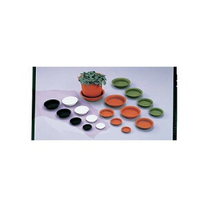 pIM 7 ubN/125-10507-6y01z K[fjOE|pi AؔEt[|bg 󂯎M