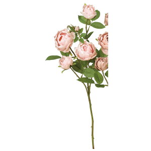 yԁzAXJ/[Y×4 ڂ×3 #003A AeB[NsN/A-34401-3Ay01z ԁiA[eBtBVt[j  ԍށu͍sv o