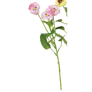 yԁzAXJ/pW[×3 #003 sN/A-34383-3y01z ԁiA[eBtBVt[j  ԍށu͍sv pW[