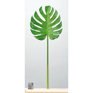 yԁzAXJ/Xe #052B CgO[/A-43904-52By01z ԁiA[eBtBVt[j ԗtAtFCNO[ Xe