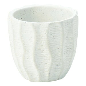 FV/xhT[NSW/TD238y01z[2] K[fjOE|pi AؔEt[|bg EZ~bN