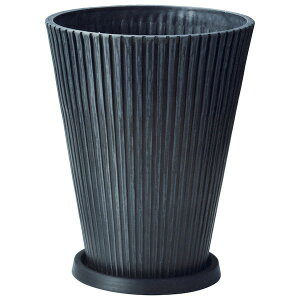 Aؔ  FV/C[OMBiMtj/AM229y01z K[fjOE|pi t[|bg 