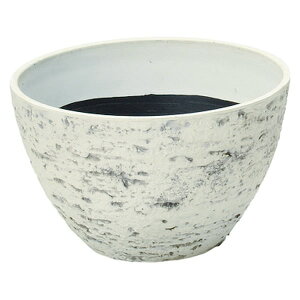 Aؔ  FV/eB[GRX{EW/AK208y01z K[fjOE|pi t[|bg 