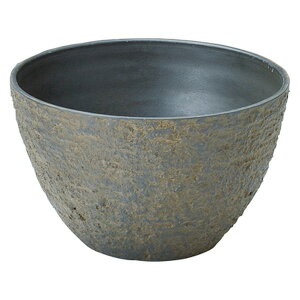 Aؔ  FV/eB[GRX{EBR/AK209y01z K[fjOE|pi t[|bg 