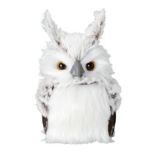 Paseo/~jO[~~YN/63-07GYy01z[2P] X܃fBXvCEX NX}XfBXvC uEIuWF