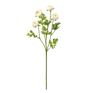 yԁzMAGIQ/O[uiLX #37 CREAM/FM004777-037y01z ԁiA[eBtBVt[j  ԍށusv iLX