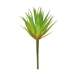 yԁzMAGIQ/ReCO AKxWG #23 LT.GR/FG300934-023y01z ԁiA[eBtBVt[j ԗtAtFCNO[ A