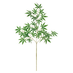 yԁzMAGIQ/R݂ GREEN/FG001895y01z ԁiA[eBtBVt[j Ԏ} ~WEC`E