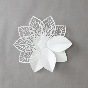 YDM/LIMEX_AR[WM/PDSJ-1001Wy01z X܃fBXvCEX Ǌ|EEH[fR EH[IuWF