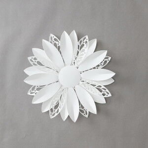 YDM/LIMEXK[xR[WM/PDSJ-1005Wy01z X܃fBXvCEX Ǌ|EEH[fR EH[IuWF