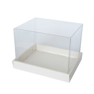 Paseo/Mtg{bNXzCg 6}CZbg/PC-51y01z bsOpi A bsOEMtg{bNX ϔE\蔠