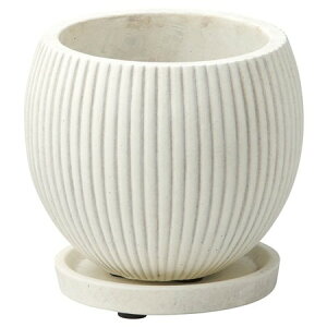 Aؔ  FV/{E|bgSWiMtj/TL217y01z K[fjOE|pi t[|bg Zg