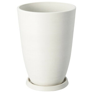 Aؔ  FV/T[NSWiMtj/AM242y01z K[fjOE|pi t[|bg 