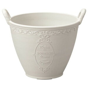 Aؔ  FV/sG[mnhMW/MS1000y01z K[fjOE|pi t[|bg 