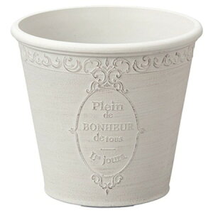 Aؔ  FV/sG[mT[NSW/MS989y01z K[fjOE|pi t[|bg 