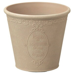 Aؔ  FV/sG[mT[NSBE/MS991y01z K[fjOE|pi t[|bg 