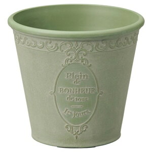 Aؔ  FV/sG[mT[NSGR/MS995y01z K[fjOE|pi t[|bg 