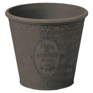 Aؔ  FV/sG[mT[NSGY/MS997y01z K[fjOE|pi t[|bg 