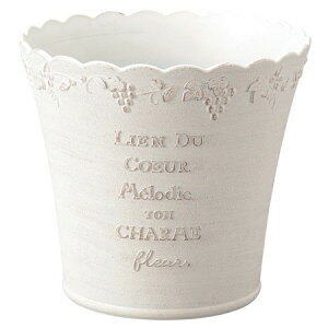 Aؔ  FV/UT[NSW/MS1047y01z K[fjOE|pi t[|bg 