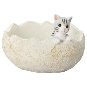 Aؔ  FV/LbgGbO|bg/5E3976y01z K[fjOE|pi t[|bg W