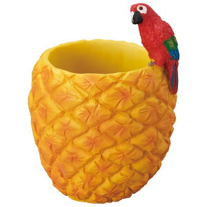 Aؔ  FV/IEpC|bg/5E3938y01z K[fjOE|pi t[|bg W