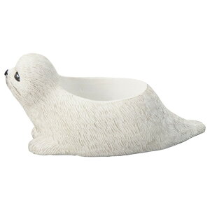 Aؔ  FV/tHbN|bg/5E3962y01z K[fjOE|pi t[|bg W