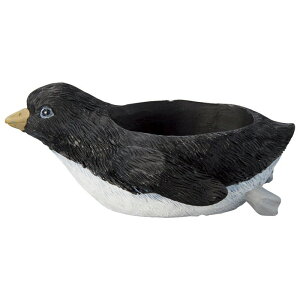 Aؔ  FV/}V|bg/5E3964y01z K[fjOE|pi t[|bg W