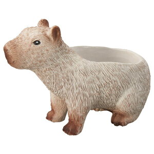 Aؔ  FV/Jso|bg/5E3939y01z K[fjOE|pi t[|bg W