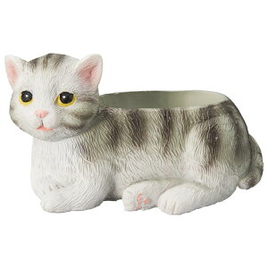 Aؔ  FV/Lbg|bg/5E3968y01z K[fjOE|pi t[|bg W