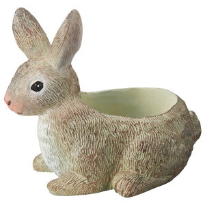 Aؔ  FV/G[|bg/5E3970y01z K[fjOE|pi t[|bg W