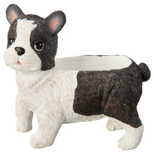 Aؔ  FV/{XgeA|bg/5E3982y01z K[fjOE|pi t[|bg W