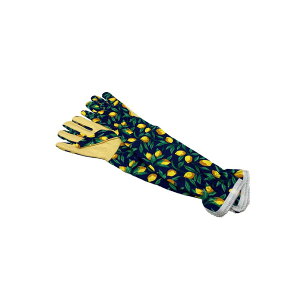 ۘaf/}`O[u  NV/400893902y07z K[fjOE|pi t@bV ܁EO[u