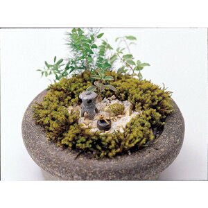 ۘaf/~j~jAj}Zbg J/830040502y07z[12P] K[fjOE|pi K[fjOG݁EI[ig ~j`A