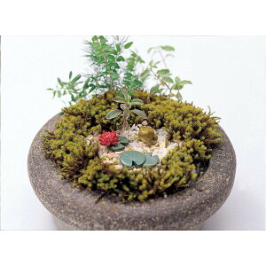 ۘaf/~j~jAj}Zbg JG/830040507y07z[12P] K[fjOE|pi K[fjOG݁EI[ig ~j`A