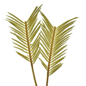 yhCzRAg[fBO/\ec̍ i`/12311y10z[10] hCt[ hCt t