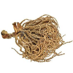 yhCzRAg[fBO/NWNVEJI^̎  i`/19813y10z hCt[ hCt[c ؂̎