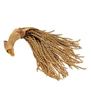 yhCzRAg[fBO/NWNVEJI^̎  i`/19814y10z hCt[ hCt[c ؂̎