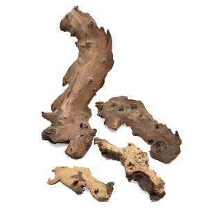 yhCzRAg[fBO/i~u̗؁ELL i`/18876y10z[5] hCt[ hC} ̑