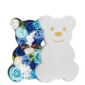 y\[vt[zHillTop/SM|297 xA{bNXAW/SM-297y01z vU[uht[ tOX\[vt[ \[vt[i