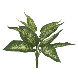 yԁzroH|/VEG|5617 fBtFoLAubV/VEG-5617y01z ԁiA[eBtBVt[j ԗtAtFCNO[ ̑̑ԗtEtFCNO[