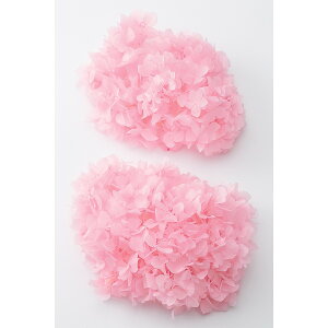 yvU[uhzn_/߃AWTCEwbh@2ց@sN/01900-101y01z vU[uht[ vU[uht[ԍ izԁj