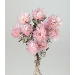 �y�h���C�z����/�V���o�[�f�[�W�[�~�j ��20g �~�X�e�B�p�[�v��/73130�y01�z �h���C�t�����[ �h���C�t�����[�ԍ� �V���o�[�f�[�W�[�ԍ� �n���h���C�h�ޗ� �N���t�g�f�� �� �N���X�}�X �n���E�B