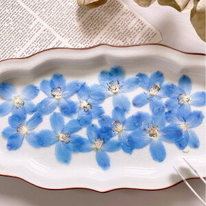 yhCzm flowers/ ftBjE Fy10z hCt[ 