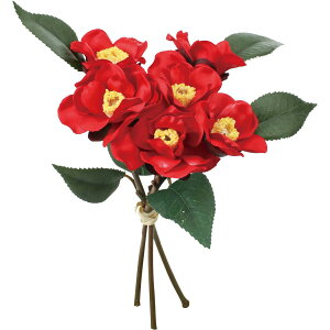 yԁzYDM/coLG_ohX3 bh/FS-5407-Ry01z ԁiA[eBtBVt[j  ԍށusv coLiցj