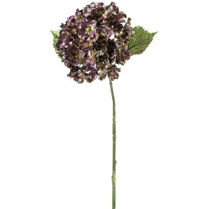 yԁzYDM/uAgS[hnChWA/FS-6132-DPGy01z ԁiA[eBtBVt[j  ԍށusv izԁj