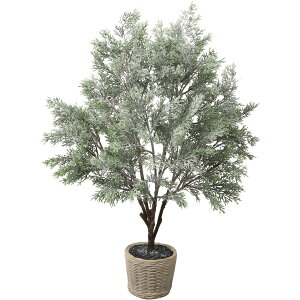 yԁzYDM/Xm[V_[c[|bg/CAB-063y01z ԁiA[eBtBVt[j ԗtAtFCNO[ ~AWjp[